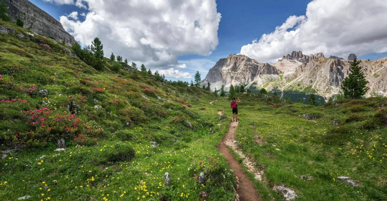 Valley of Flowers Welcomes You in 2025: Your Ultimate Travel Guide to Uttarakhand’s Blooming Paradise